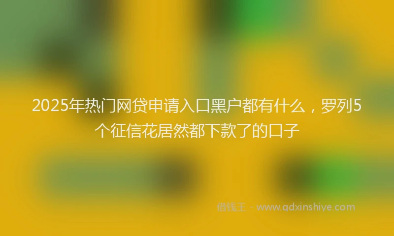 2025年热门网贷申请入口黑户都有什么，罗列5个征信花居然都下款了的口子