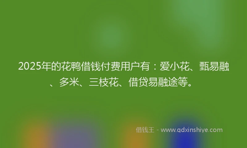 2025年的花鸭借钱付费用户有：爱小花、甄易融、多米、三枝花、借贷易融途等。