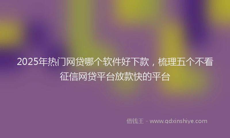 2025年热门网贷哪个软件好下款，梳理五个不看征信网贷平台放款快的平台