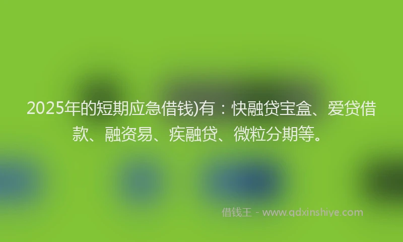 2025年的短期应急借钱)有：快融贷宝盒、爱贷借款、融资易、疾融贷、微粒分期等。