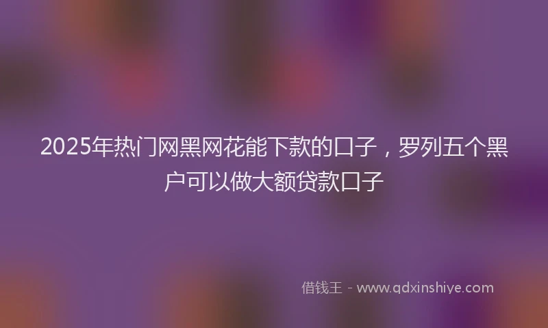 2025年热门网黑网花能下款的口子，罗列五个黑户可以做大额贷款口子