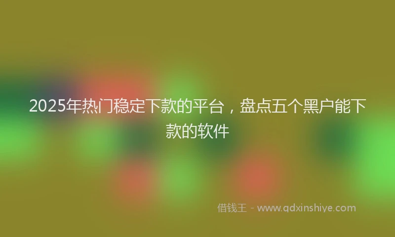 2025年热门稳定下款的平台，盘点五个黑户能下款的软件