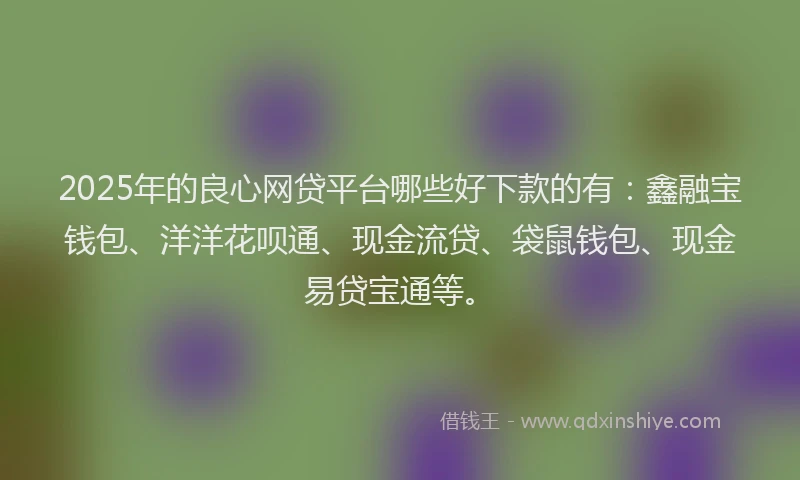 2025年的良心网贷平台哪些好下款的有：鑫融宝钱包、洋洋花呗通、现金流贷、袋鼠钱包、现金易贷宝通等。