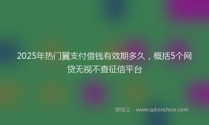 2025年热门翼支付借钱有效期多久，概括5个网贷无视不查征信平台