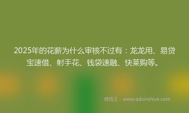 2025年的花薪为什么审核不过有：龙龙用、易贷宝速借、射手花、钱袋速融、快莱购等。