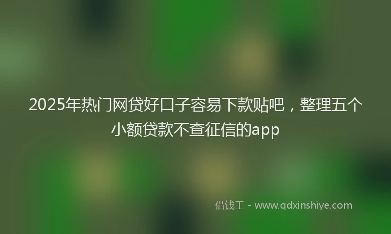 2025年热门网贷好口子容易下款贴吧，整理五个小额贷款不查征信的app