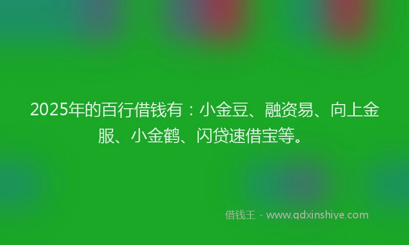 2025年的百行借钱有：小金豆、融资易、向上金服、小金鹤、闪贷速借宝等。
