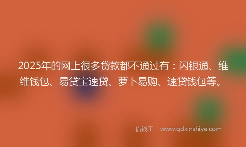 2025年的网上很多贷款都不通过有：闪银通、维维钱包、易贷宝速贷、萝卜易购、速贷钱包等。