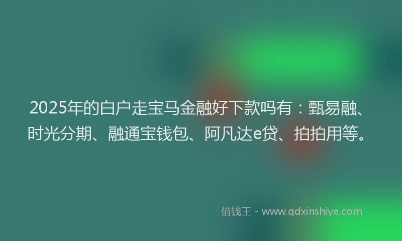 2025年的白户走宝马金融好下款吗有：甄易融、时光分期、融通宝钱包、阿凡达e贷、拍拍用等。