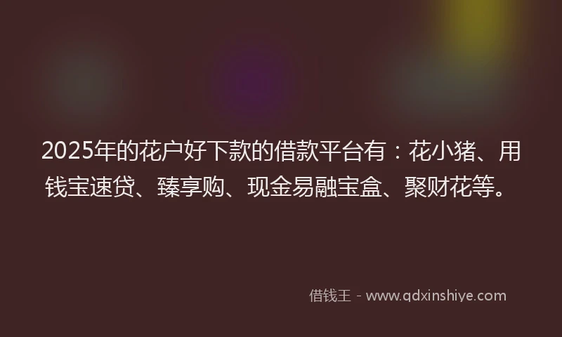2025年的花户好下款的借款平台有：花小猪、用钱宝速贷、臻享购、现金易融宝盒、聚财花等。
