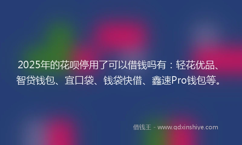 2025年的花呗停用了可以借钱吗有：轻花优品、智贷钱包、宜口袋、钱袋快借、鑫速Pro钱包等。