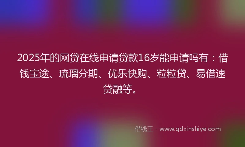 2025年的网贷在线申请贷款16岁能申请吗有：借钱宝途、琉璃分期、优乐快购、粒粒贷、易借速贷融等。