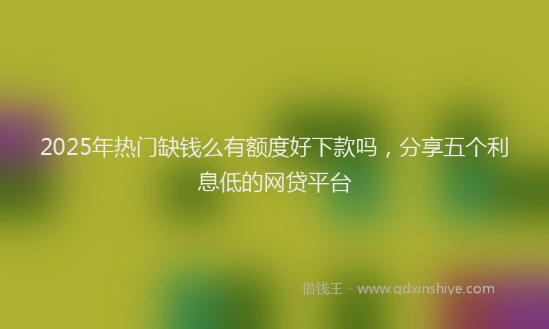 2025年热门缺钱么有额度好下款吗，分享五个利息低的网贷平台
