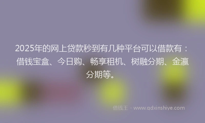 2025年的网上贷款秒到有几种平台可以借款有：借钱宝盒、今日购、畅享租机、树融分期、金瀛分期等。