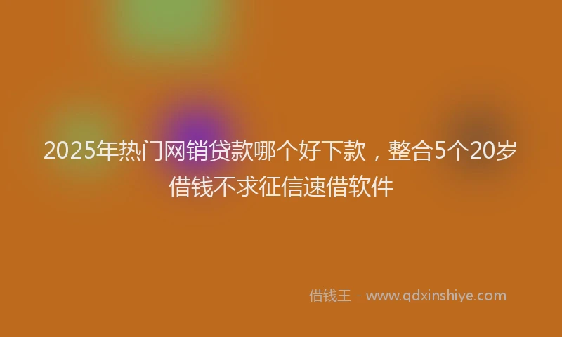 2025年热门网销贷款哪个好下款，整合5个20岁借钱不求征信速借软件