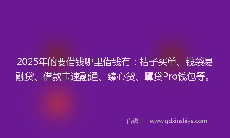 2025年的要借钱哪里借钱有：桔子买单、钱袋易融贷、借款宝速融通、臻心贷、翼贷Pro钱包等。