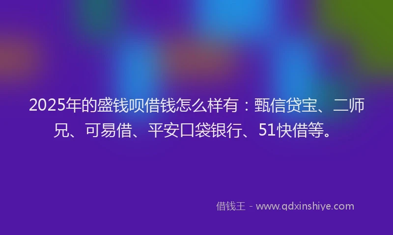 2025年的盛钱呗借钱怎么样有：甄信贷宝、二师兄、可易借、平安口袋银行、51快借等。