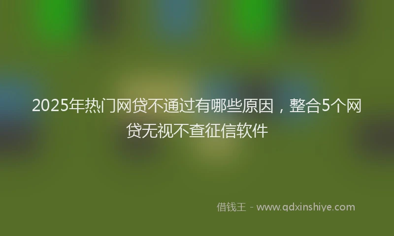 2025年热门网贷不通过有哪些原因，整合5个网贷无视不查征信软件