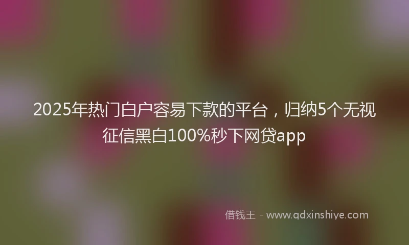 2025年热门白户容易下款的平台，归纳5个无视征信黑白100%秒下网贷app