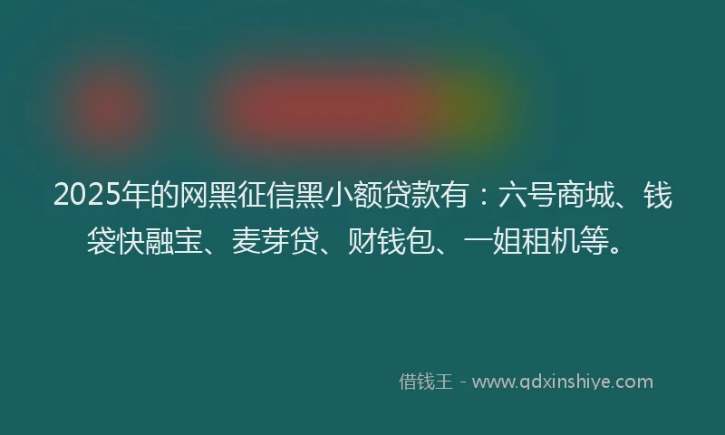 2025年的网黑征信黑小额贷款有：六号商城、钱袋快融宝、麦芽贷、财钱包、一姐租机等。
