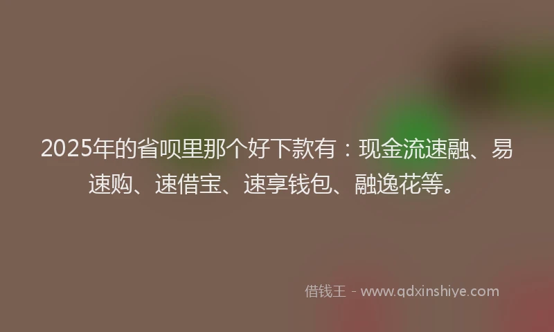 2025年的省呗里那个好下款有：现金流速融、易速购、速借宝、速享钱包、融逸花等。