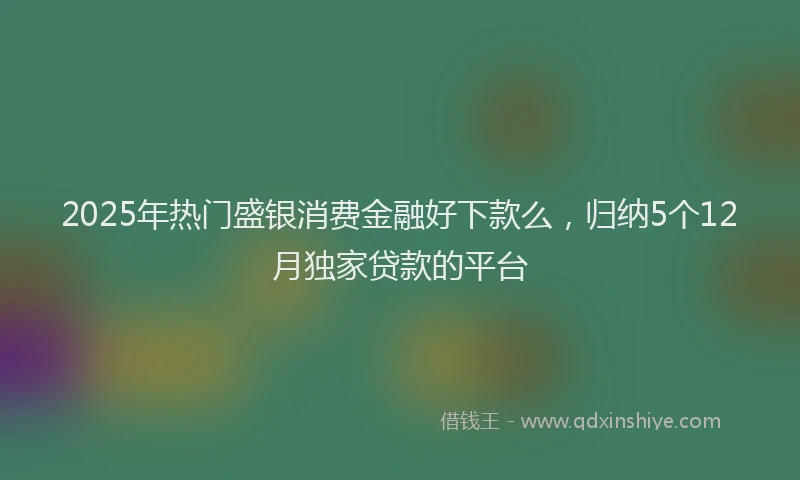 2025年热门盛银消费金融好下款么，归纳5个12月独家贷款的平台