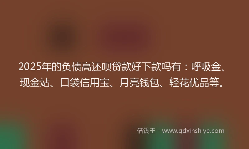 2025年的负债高还呗贷款好下款吗有：呼吸金、现金站、口袋信用宝、月亮钱包、轻花优品等。
