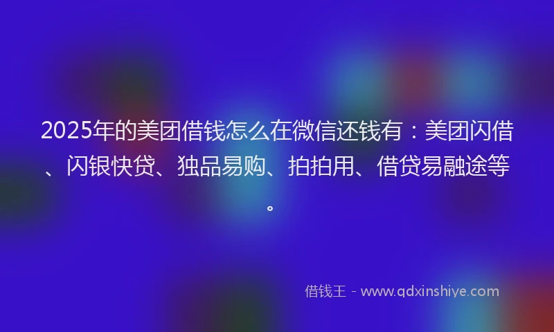 2025年的美团借钱怎么在微信还钱有：美团闪借、闪银快贷、独品易购、拍拍用、借贷易融途等。