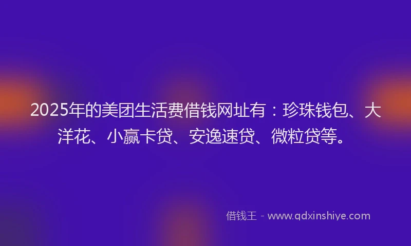 2025年的美团生活费借钱网址有：珍珠钱包、大洋花、小赢卡贷、安逸速贷、微粒贷等。