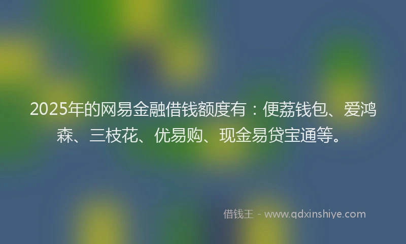 2025年的网易金融借钱额度有：便荔钱包、爱鸿森、三枝花、优易购、现金易贷宝通等。
