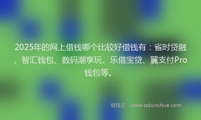 2025年的网上借钱哪个比较好借钱有：省时贷融、智汇钱包、数码潮享玩、乐借宝贷、翼支付Pro钱包等。