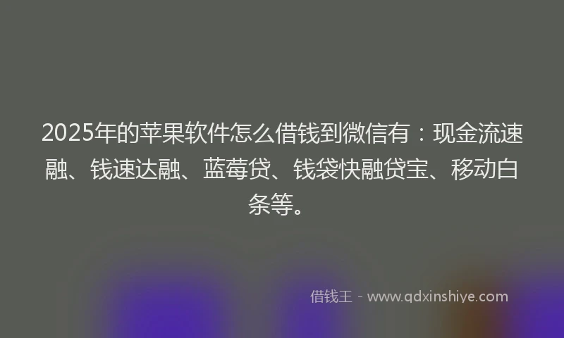 2025年的苹果软件怎么借钱到微信有：现金流速融、钱速达融、蓝莓贷、钱袋快融贷宝、移动白条等。