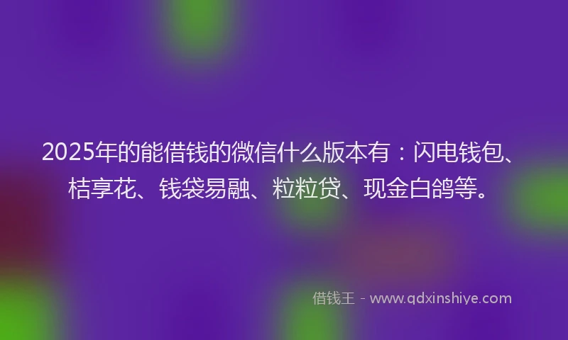 2025年的能借钱的微信什么版本有：闪电钱包、桔享花、钱袋易融、粒粒贷、现金白鸽等。