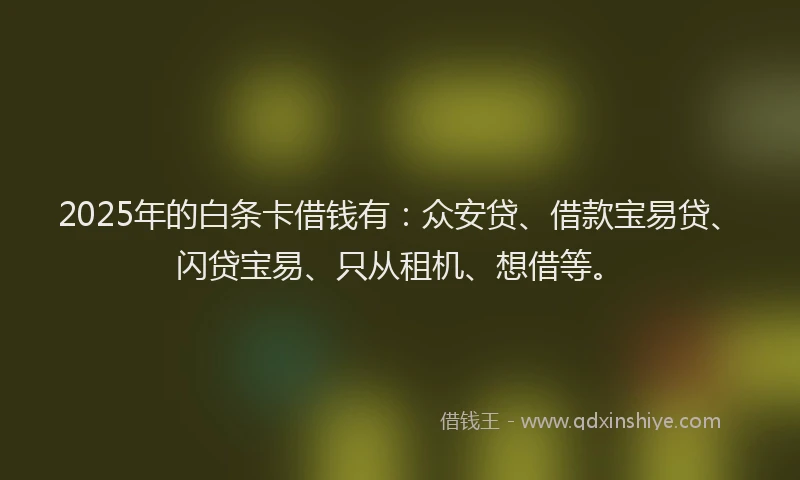 2025年的白条卡借钱有：众安贷、借款宝易贷、闪贷宝易、只从租机、想借等。