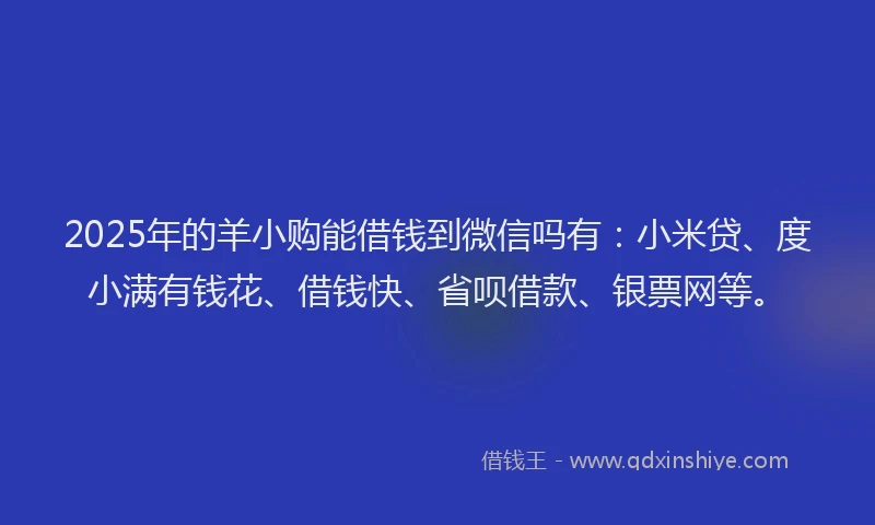 2025年的羊小购能借钱到微信吗有：小米贷、度小满有钱花、借钱快、省呗借款、银票网等。