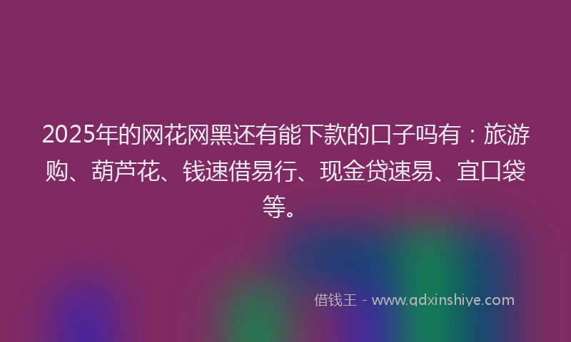 2025年的网花网黑还有能下款的口子吗有：旅游购、葫芦花、钱速借易行、现金贷速易、宜口袋等。