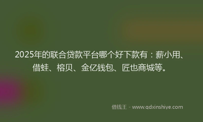 2025年的联合贷款平台哪个好下款有：薪小用、借蛙、榕贝、金亿钱包、匠也商城等。