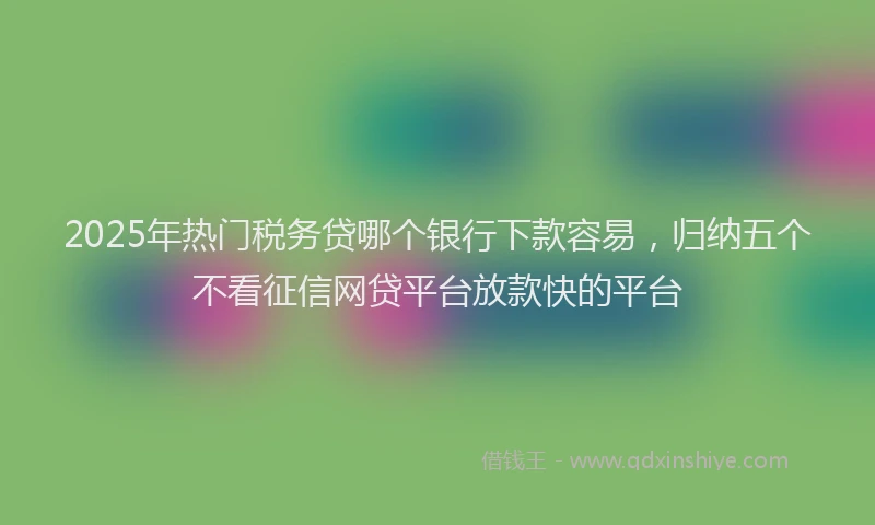 2025年热门税务贷哪个银行下款容易，归纳五个不看征信网贷平台放款快的平台