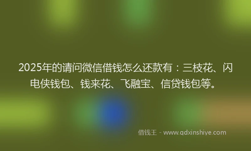 2025年的请问微信借钱怎么还款有：三枝花、闪电侠钱包、钱来花、飞融宝、信贷钱包等。
