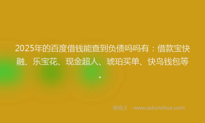 2025年的百度借钱能查到负债吗吗有：借款宝快融、乐宝花、现金超人、琥珀买单、快鸟钱包等。