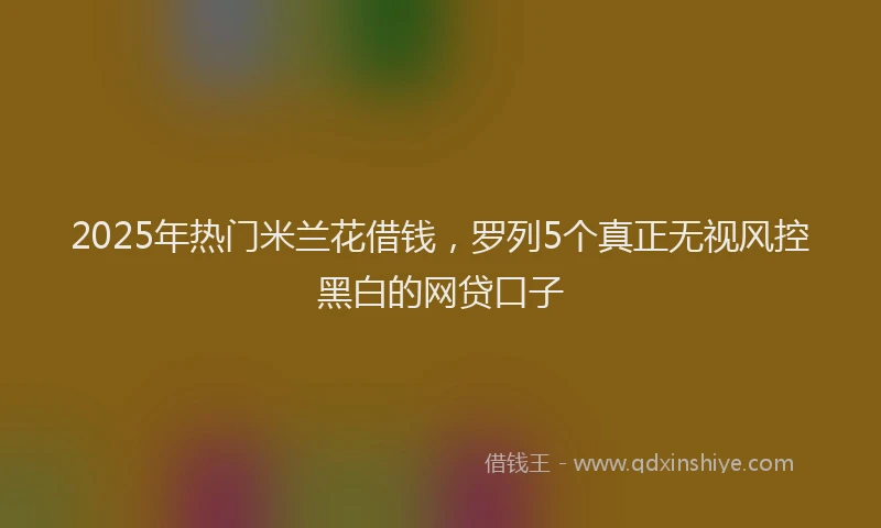 2025年热门米兰花借钱，罗列5个真正无视风控黑白的网贷口子