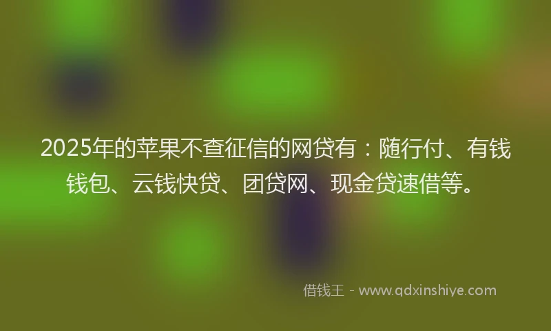 2025年的苹果不查征信的网贷有：随行付、有钱钱包、云钱快贷、团贷网、现金贷速借等。