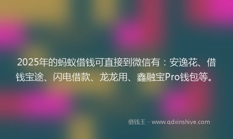 2025年的蚂蚁借钱可直接到微信有：安逸花、借钱宝途、闪电借款、龙龙用、鑫融宝Pro钱包等。