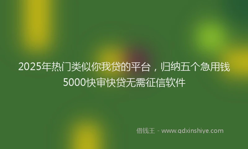 2025年热门类似你我贷的平台，归纳五个急用钱5000快审快贷无需征信软件