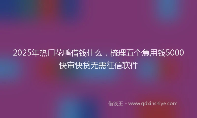2025年热门花鸭借钱什么，梳理五个急用钱5000快审快贷无需征信软件