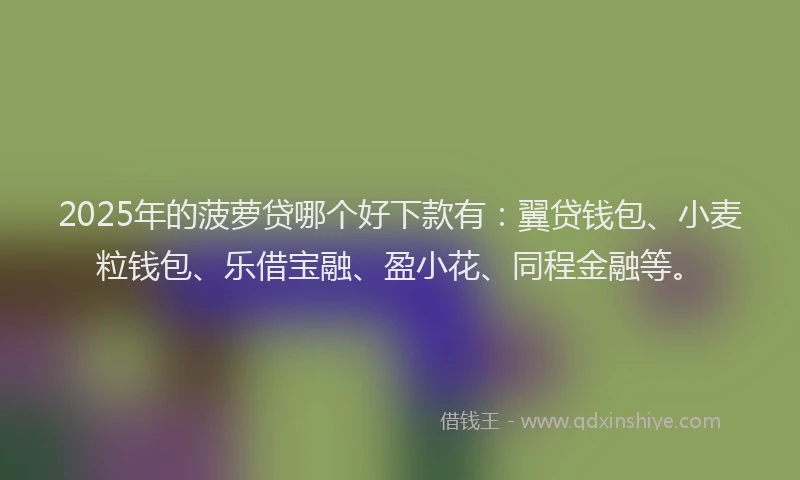2025年的菠萝贷哪个好下款有：翼贷钱包、小麦粒钱包、乐借宝融、盈小花、同程金融等。