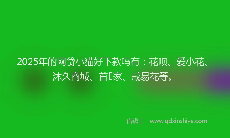 2025年的网贷小猫好下款吗有：花呗、爱小花、沐久商城、首E家、戒易花等。