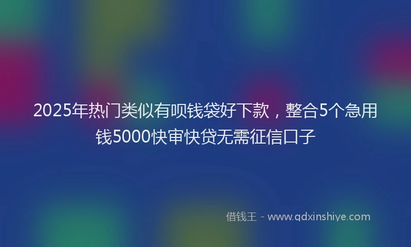 2025年热门类似有呗钱袋好下款，整合5个急用钱5000快审快贷无需征信口子