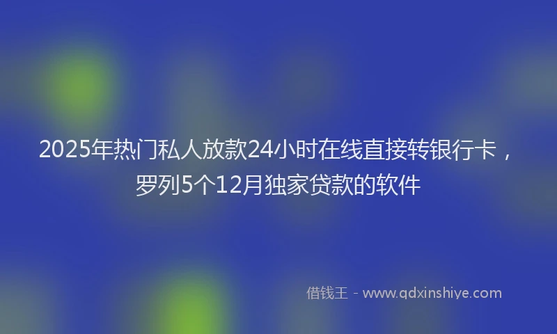 2025年热门私人放款24小时在线直接转银行卡，罗列5个12月独家贷款的软件