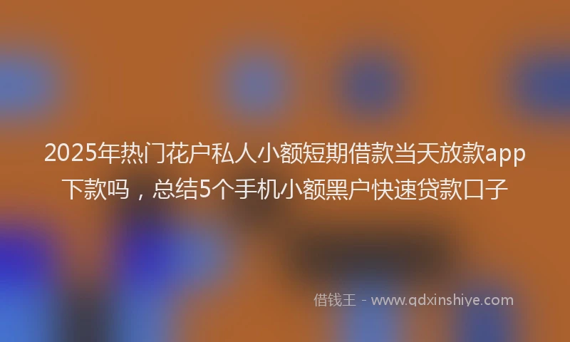 2025年热门花户私人小额短期借款当天放款app下款吗，总结5个手机小额黑户快速贷款口子